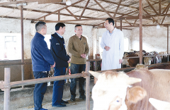 刘萌：舌尖上的“